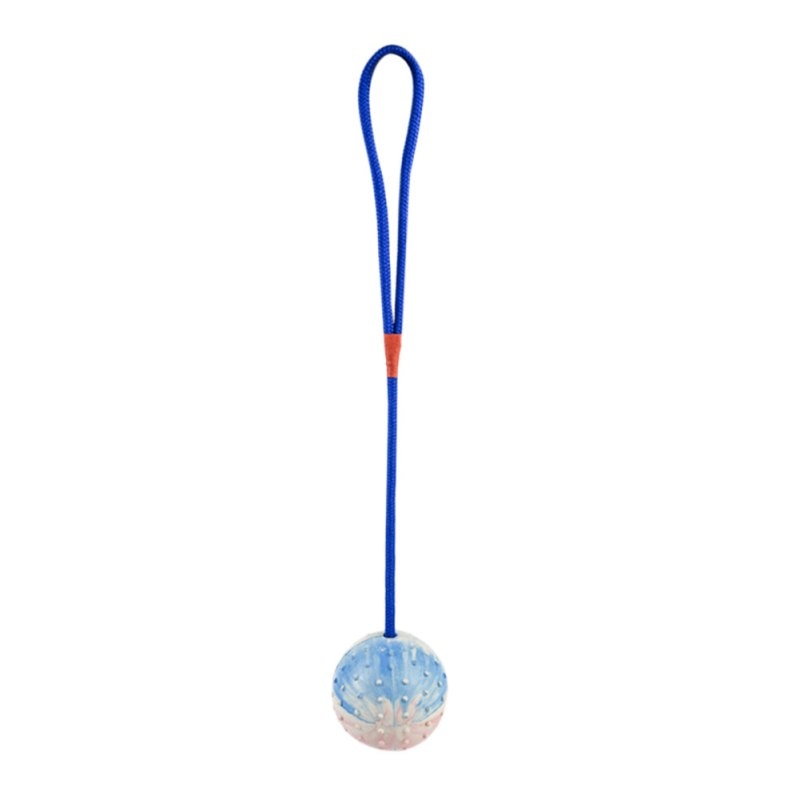 Pet Dogs Training Toy Natural Rubber Ball On Rope For Reward Fetch Play Interactive Funny Dog Toy Dog Training Supplies - ima