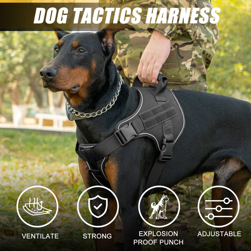 Tactical dog vest: for large dogs (German Shepherd, Golden Retriever) – training, military-style accessories. - image 11