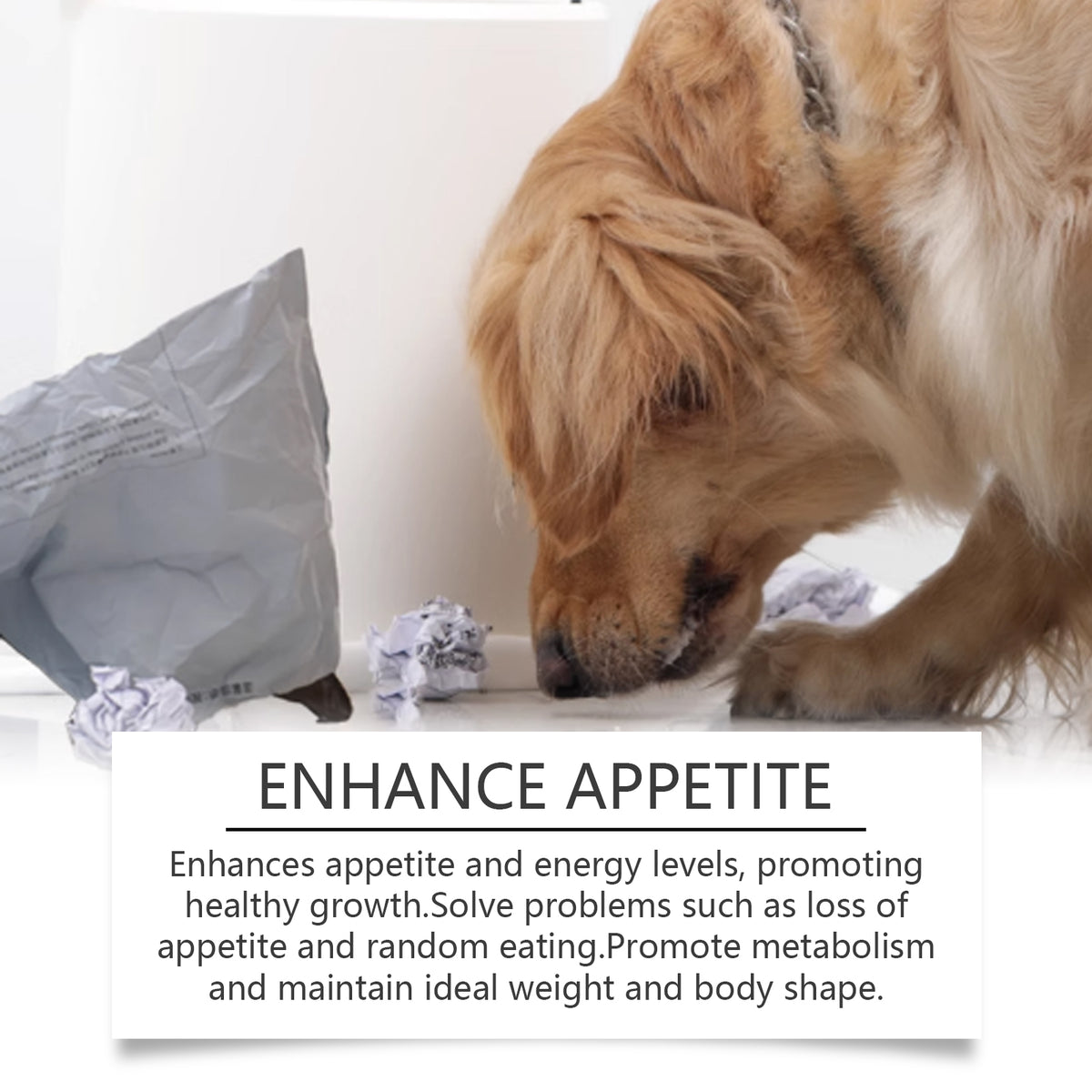 Yegbong Minerals For Dogs, Support Nerves And Promote Overall Health With Calcium And Magnesium Supplements - image 3