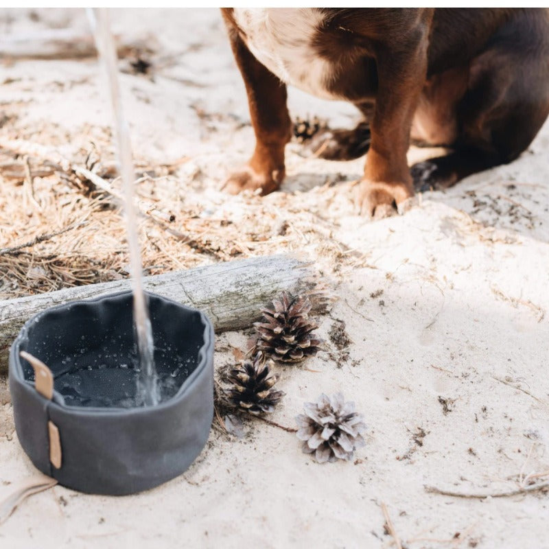 Foldable Waxed Food Tray Portable Pet Tableware Outdoor Pet Travel Canvas Dog Bowl - image 2