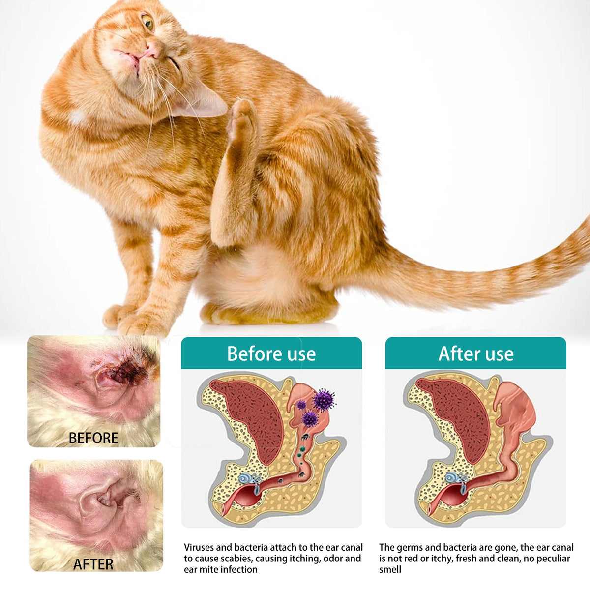 Pet Ear Cleaning Finger Sleeves for Cats and Dogs Ear Mite and Earwax Care Ear Canal Cleaning Finger Sleeves - image 5