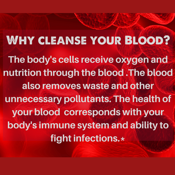 Natural Blood Cleanser Drops (2 fl oz) - Organic & Wildcrafted - view 3