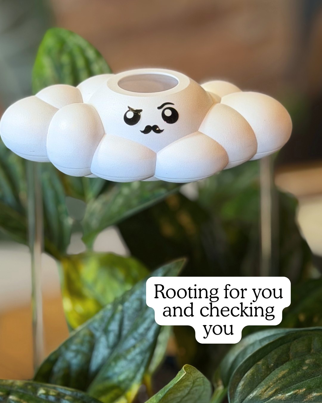Carl the Cloud - view 3