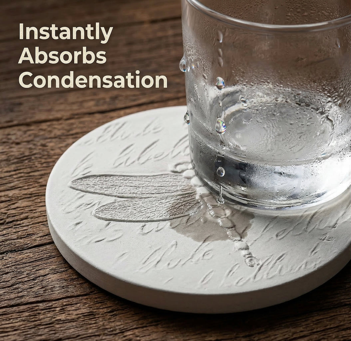 Dragonfly Drink Coasters — McCarter Coasters