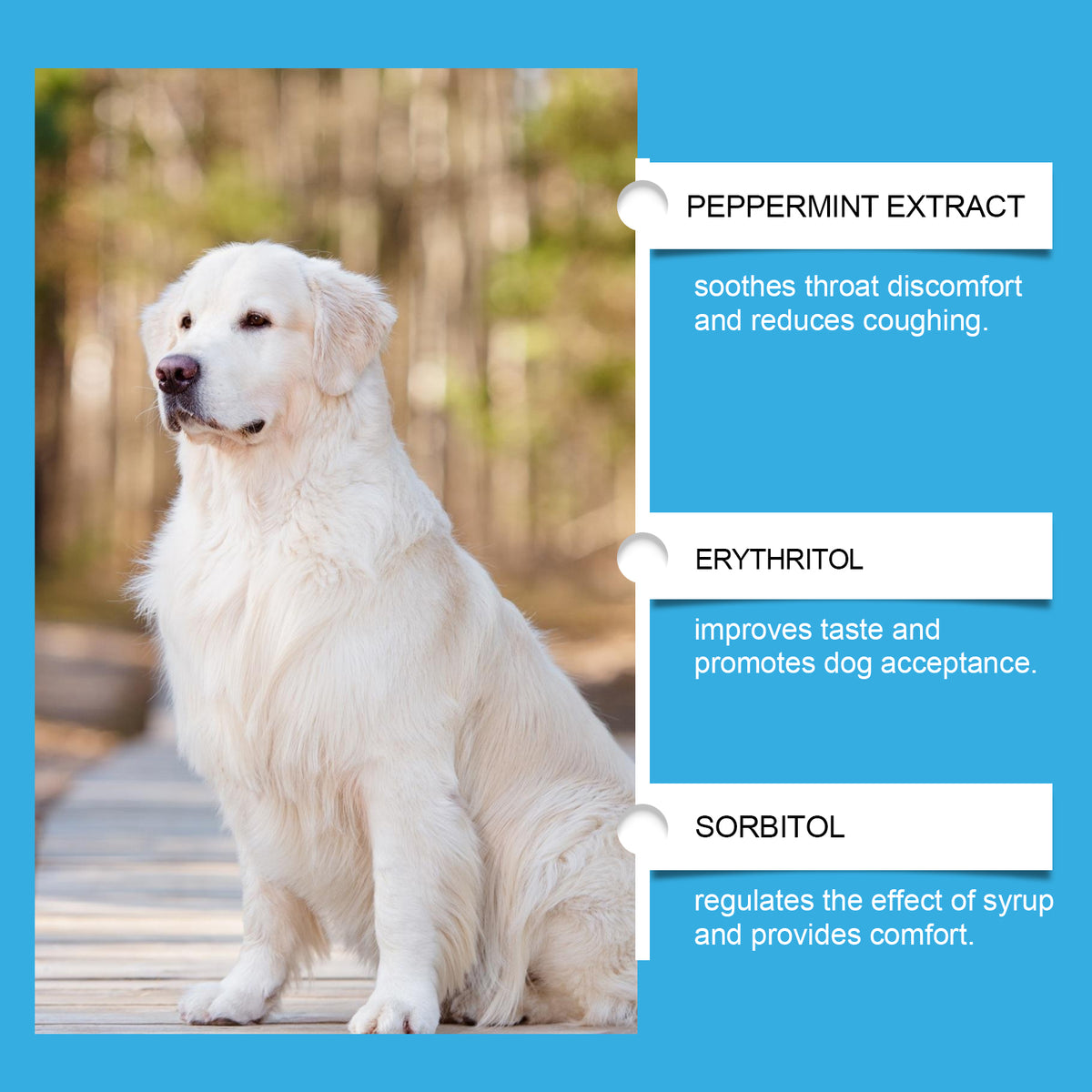 Dog Health Syrup – Nutritional Care Supplement