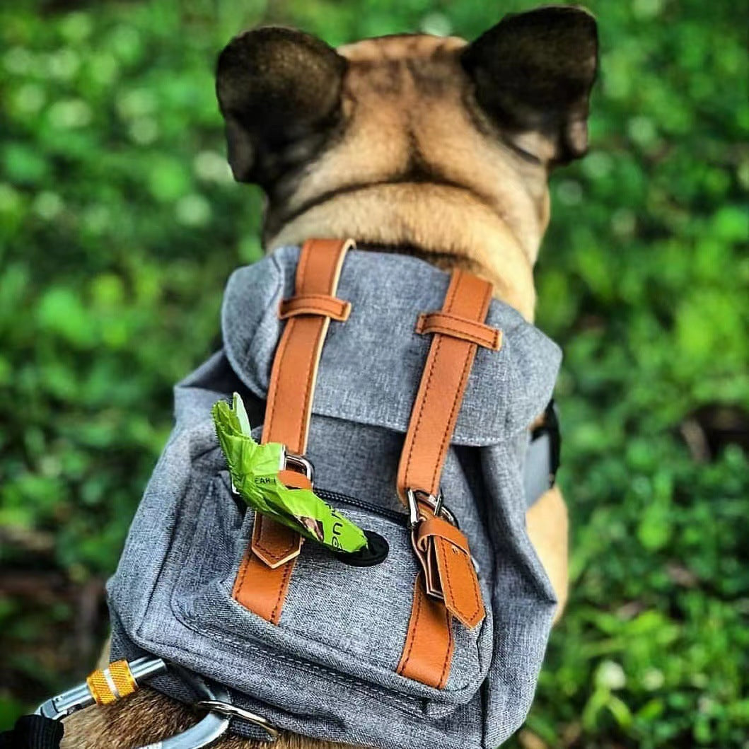 Dog backpack Pet small schoolbag with straps Portable - image 3