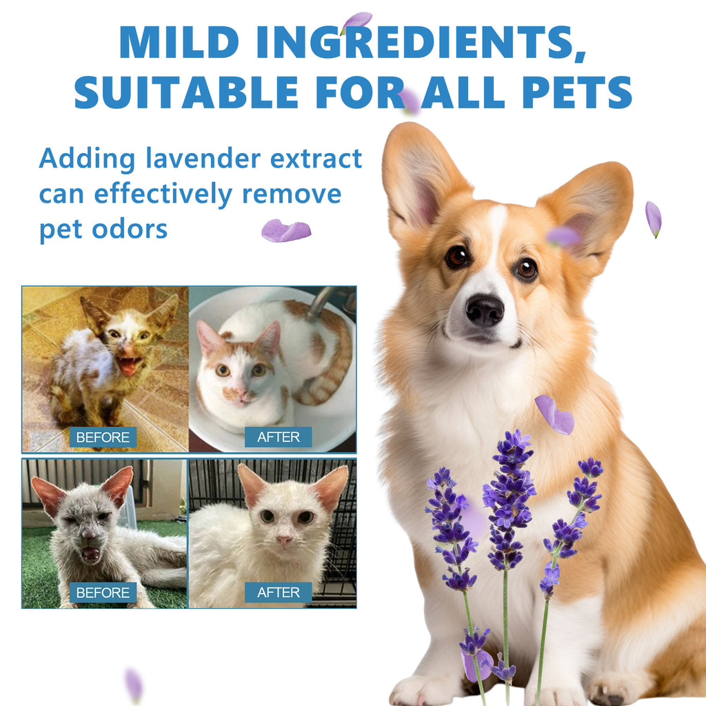 Pet Leave-In Serum Set For Cats And Dogs To Clean Hair Fluffy, Soft And Fragrance Care Essence - image 5