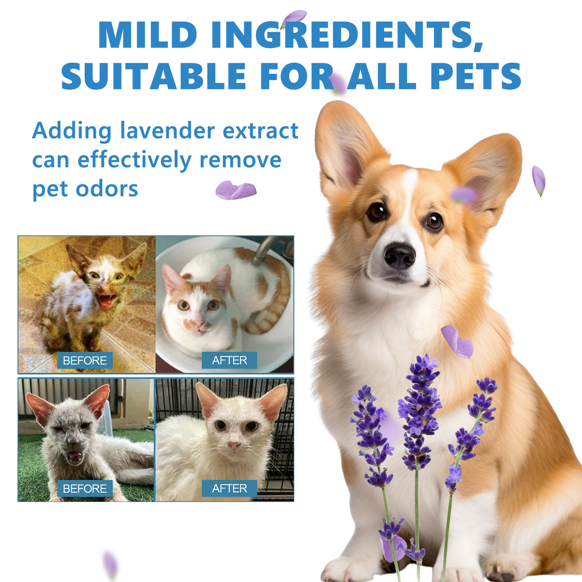 Pet Leave-In Serum Set For Cats And Dogs To Clean Hair Fluffy, Soft And Fragrance Care Essence - image 5
