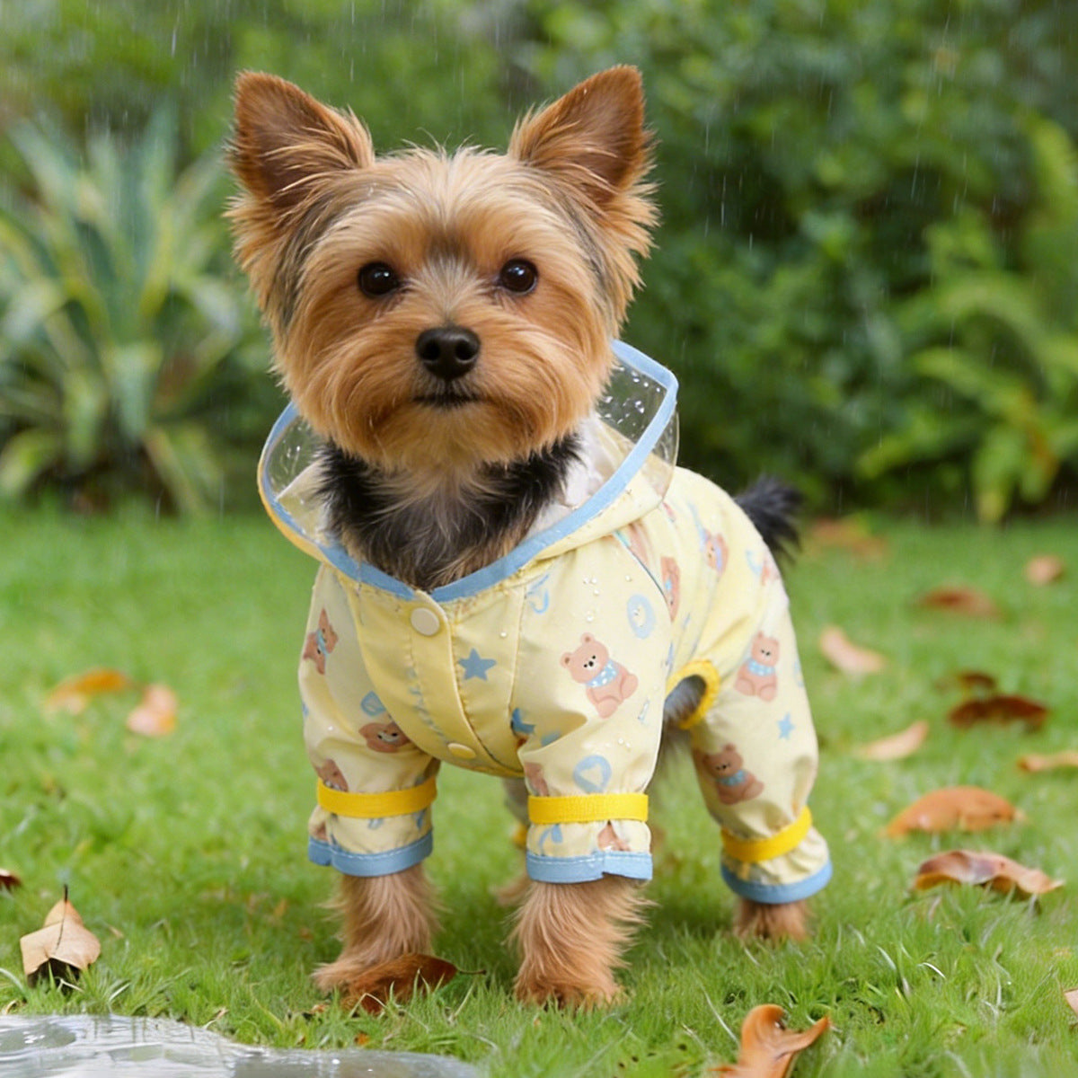 Cute Yellow and Blue Bear Pet Raincoat for Small Dogs, Four-Legged Waterproof Dog Rain Poncho - image 3