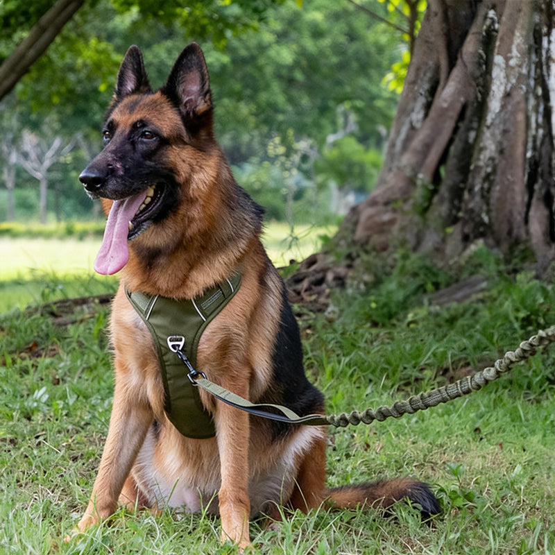 Breathable Reflective Dog Harness Vest, Outdoor No-Pull Escape-Proof Harness with Leash for Large & Medium Dogs - image 9
