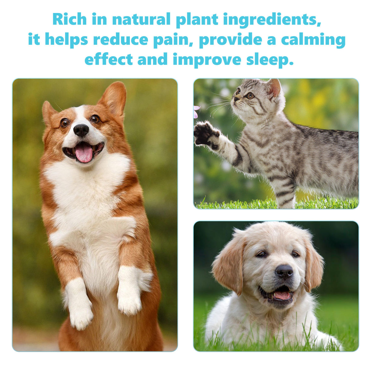 Pet Glucosamine Drops Relieve Pain Of Bones And Joints For Pets Body Care For Cats And Dogs - image 5