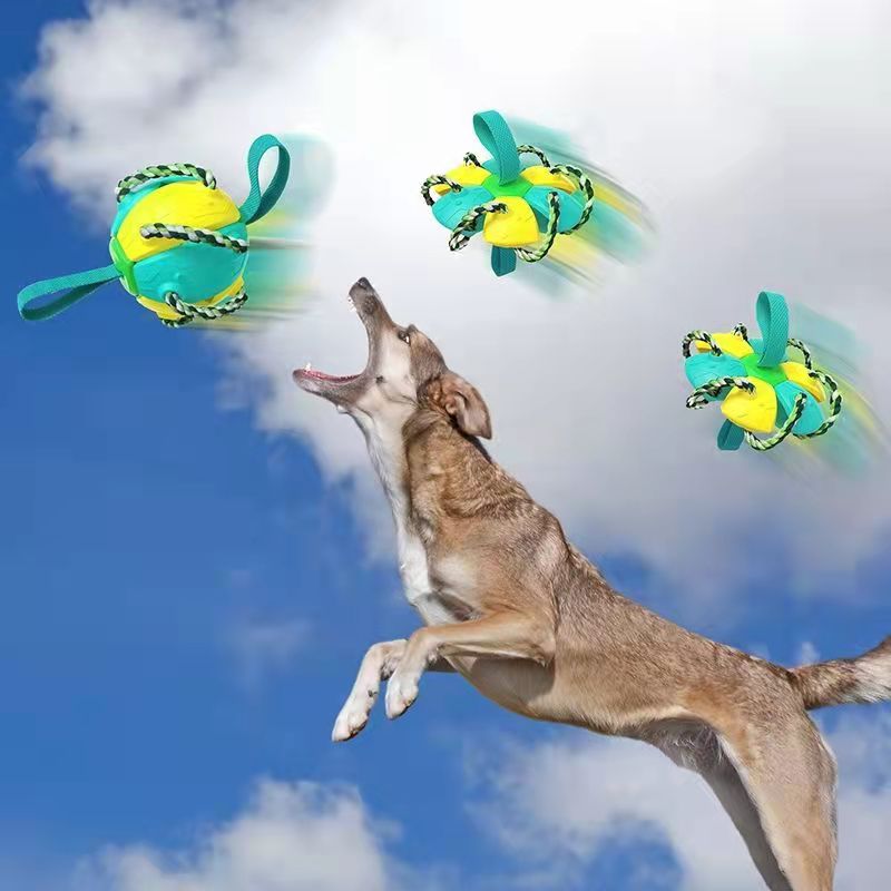 Pet Supplies Throwing Frisbee Outdoor Training Interactive Frisbee Football Dog Toy