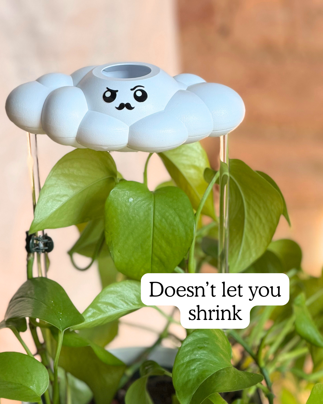 Carl the Cloud - view 5
