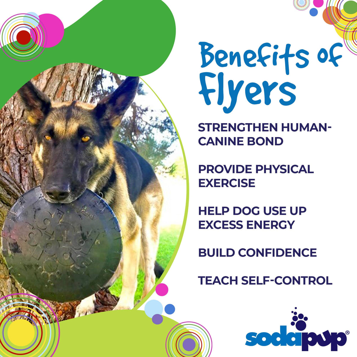 Magnum Bottle Top Flyer Rubber Frisbee for Heavy Chewers - Large - view 3