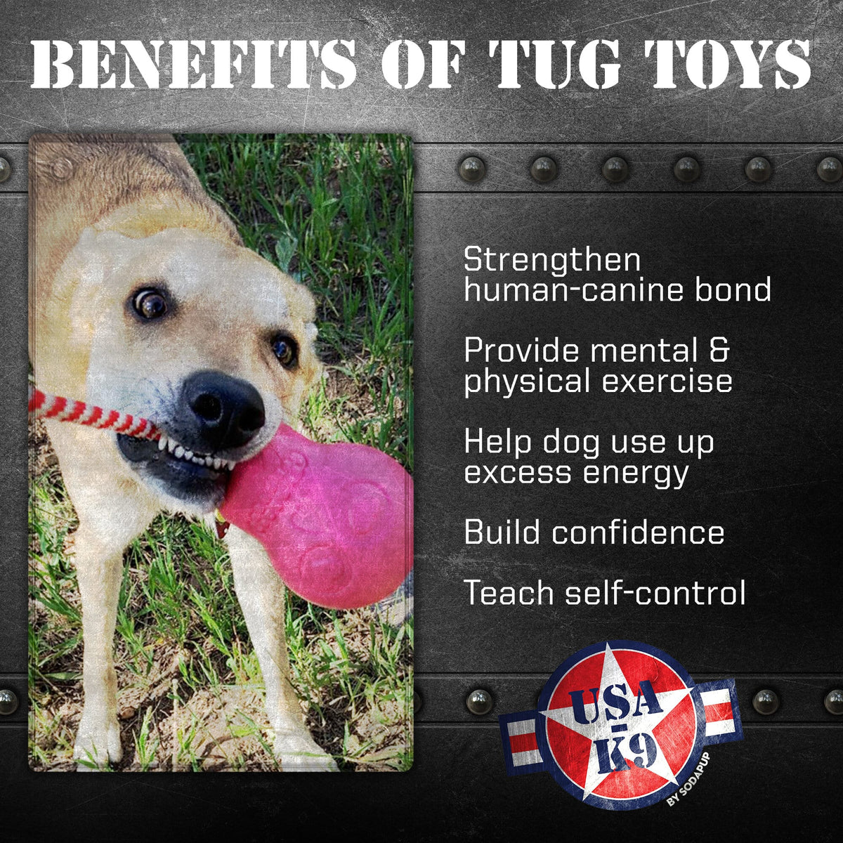 USA-K9 Skull Dog Chew Toy & Treat Dispenser - Made in USA - SodaPup - view 3