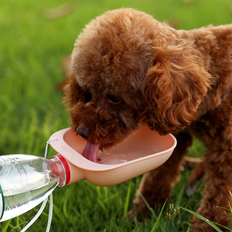 Portable Squeeze Dog Water Bottle Attachment – Outdoor Travel Drinking Feeder - image 2