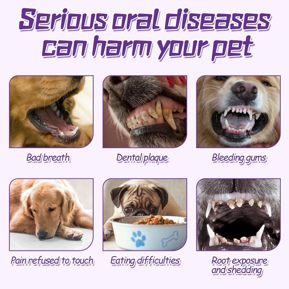 Pet Toothbrush For Dogs, Pet Oral Cleaning Dental Stains Dental Health Care - image 5