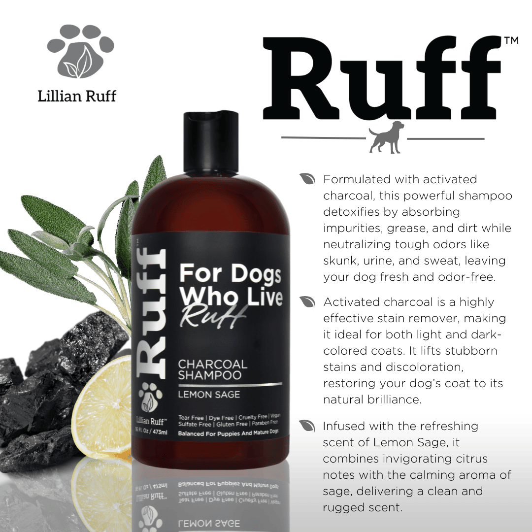 Activated Charcoal Shampoo - Image 4
