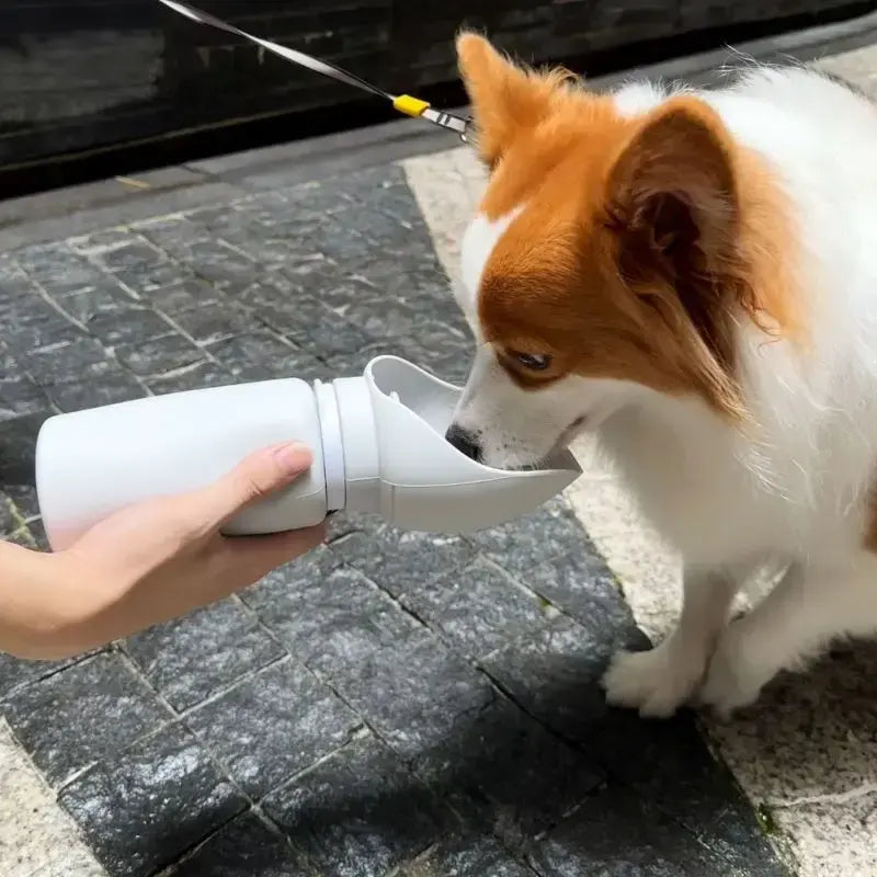550ml Portable Silicone Foldable Dog Water Bottle & Dispenser - image 5