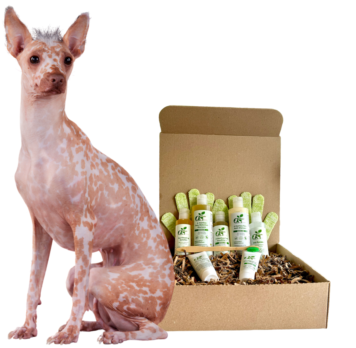 4-HAIRLESS PETS *DOG REGULAR KIT - FULL SIZE ($5.65/oz.), EXTRA LARGE ($3.41/oz.), ECONOMY SIZE ($2.41/oz.)