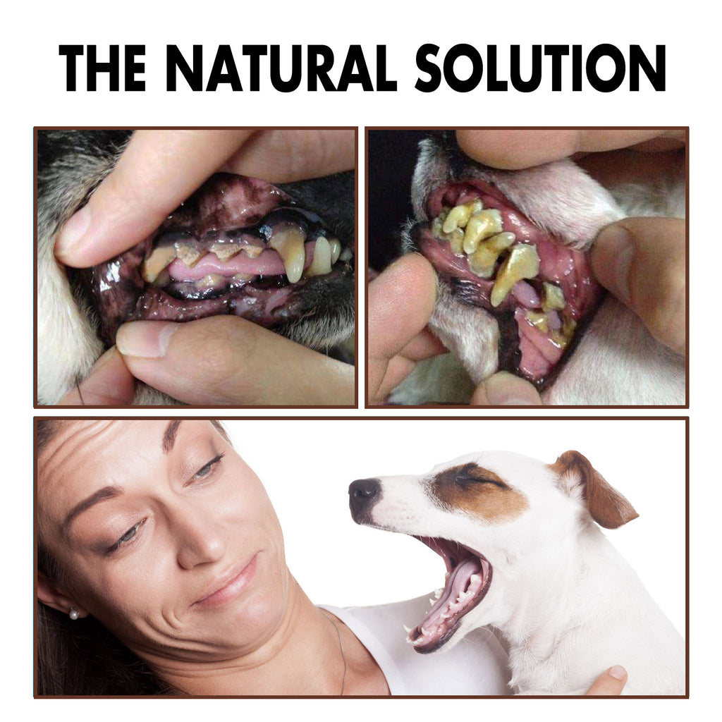 Pet Tooth Cleaning Spray, Cats And Dogs Removal Tartar Stains Bad Breath Oral Cleaning Spray - image 5