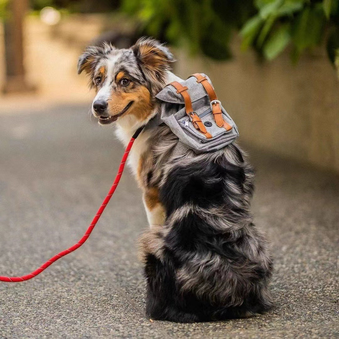 Dog backpack Pet small schoolbag with straps Portable - image 4