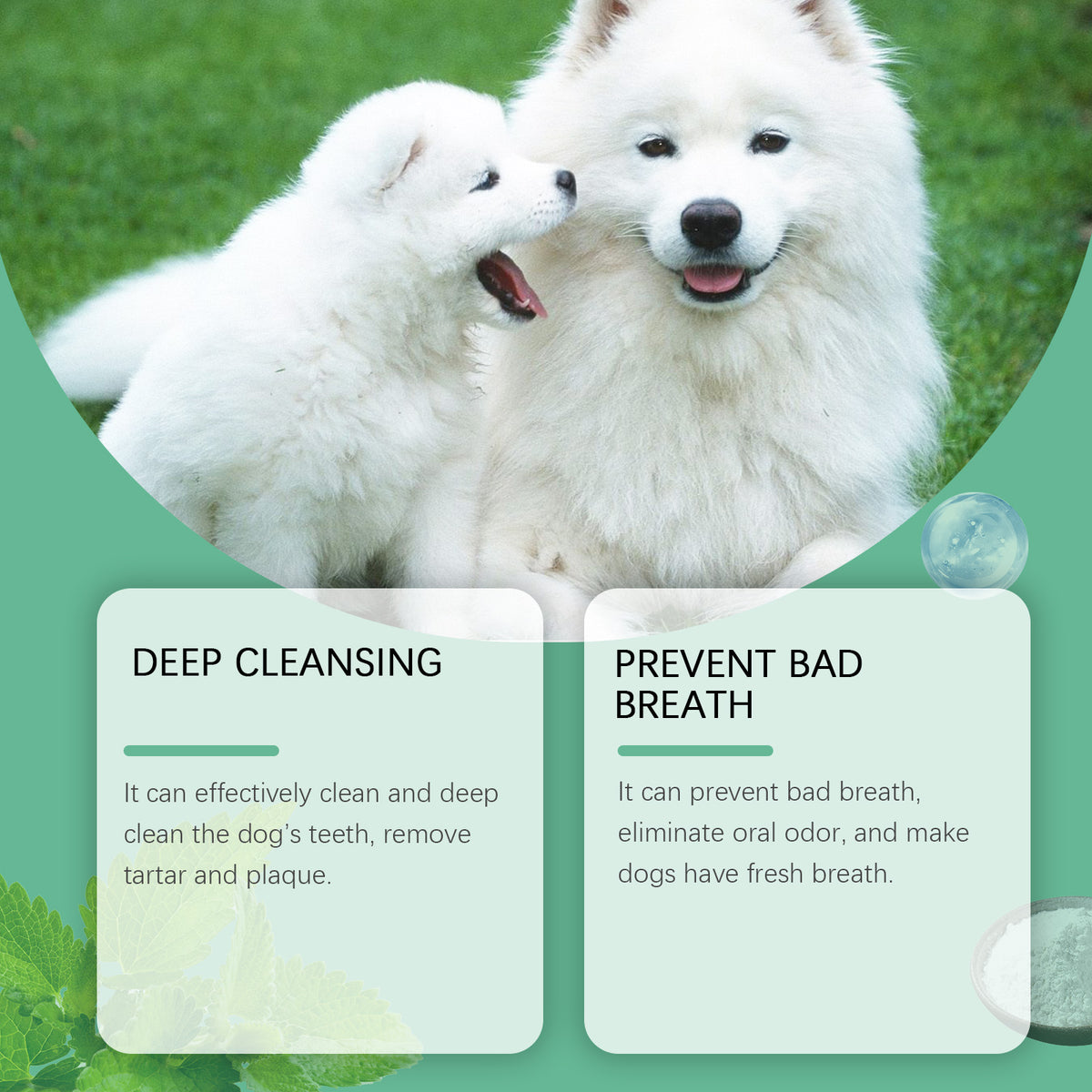 Yegbong Tooth Cleaning Powder For Dogs, A Gentle Formula To Freshen Breath And Protect Pet Oral Health Cleaning Powder - imag