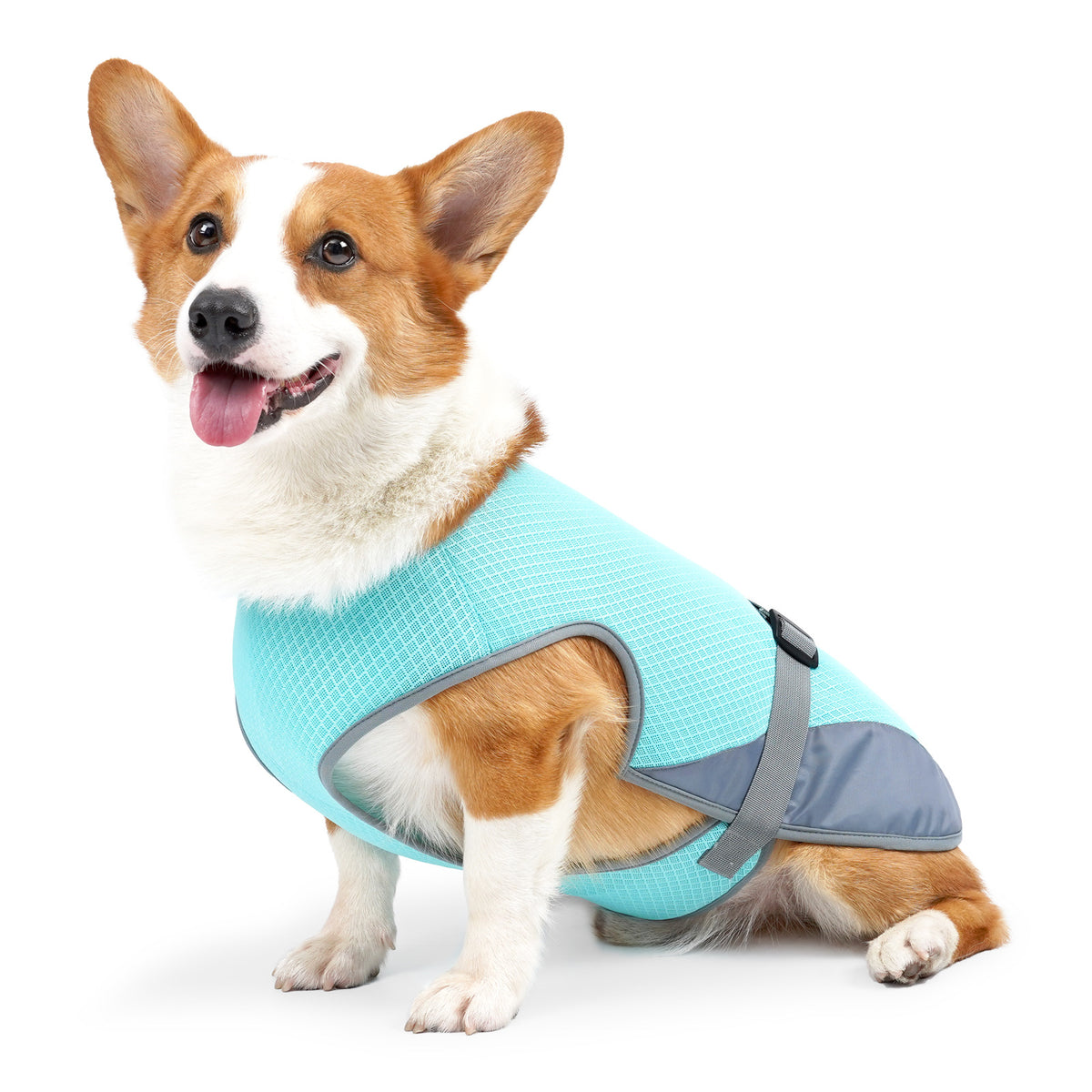 Pet Cooling Clothing Dog Clothing Pet Cooling Pet Supplies - image 6