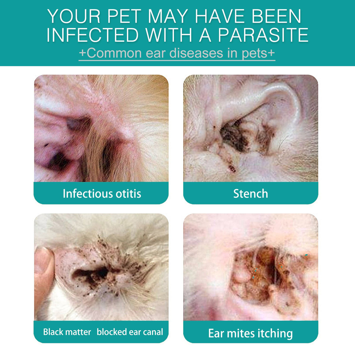 Pet Ear Cleaning Finger Sleeves for Cats and Dogs Ear Mite and Earwax Care Ear Canal Cleaning Finger Sleeves - image 3