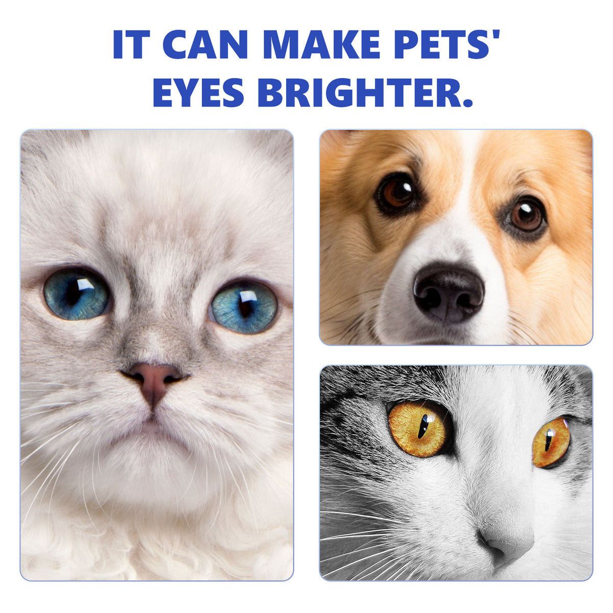 Pet Eye Drops – Dog & Cat Eye Wash & Tear Stain Remover - image 2