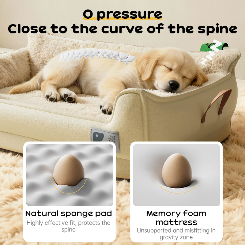Heavy-Duty All-Weather Dog House: Chew-Resistant, Portable & Washable for Medium/Large Dogs - image 7