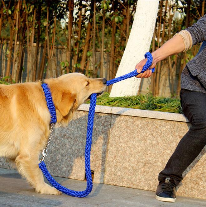 Double Strand Rope Large Dog Leashes Metal P Chain Buckle Contrast Colorful Pet Traction Rope Collar Set Firm 1.2m Length - i