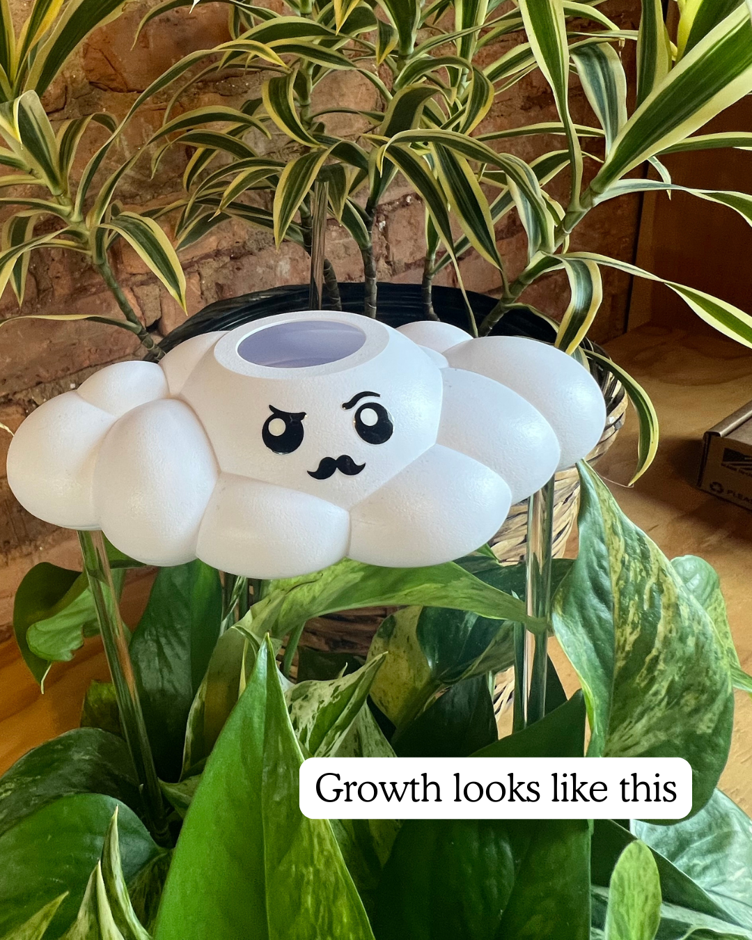Carl the Cloud - view 6