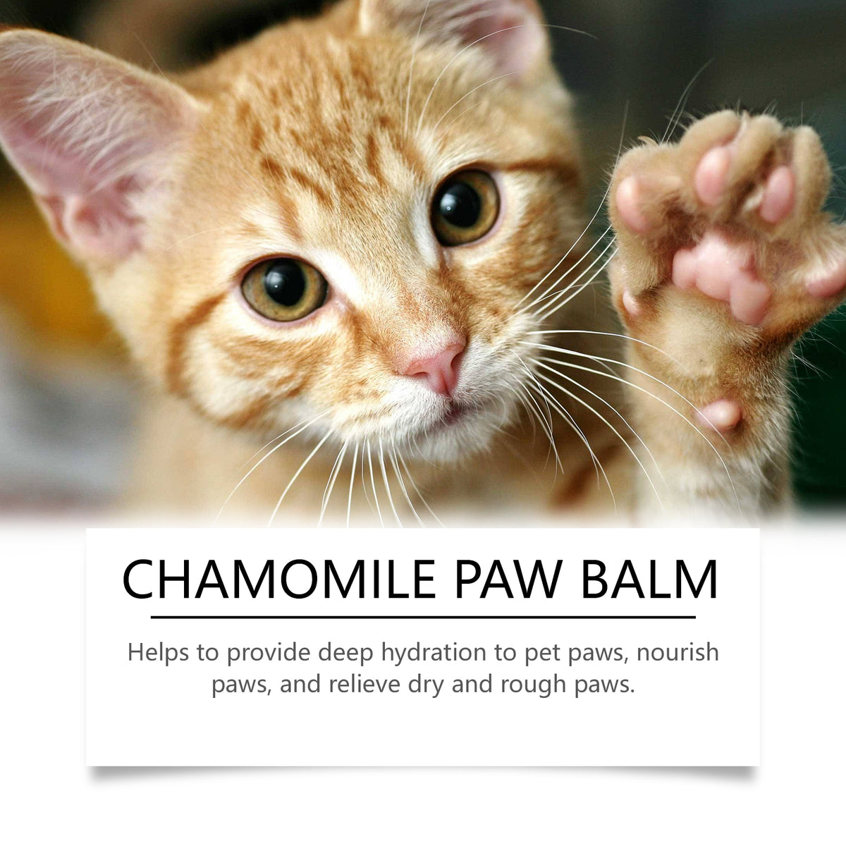 Yegbong Claw Care Cream For Dogs And Cats, Gentle Moisturizing And Softening Foot Pad, Pet Claw Care Cream - image 4