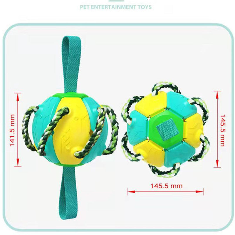 Pet Supplies Throwing Frisbee Outdoor Training Interactive Frisbee Football Dog Toy - image 5
