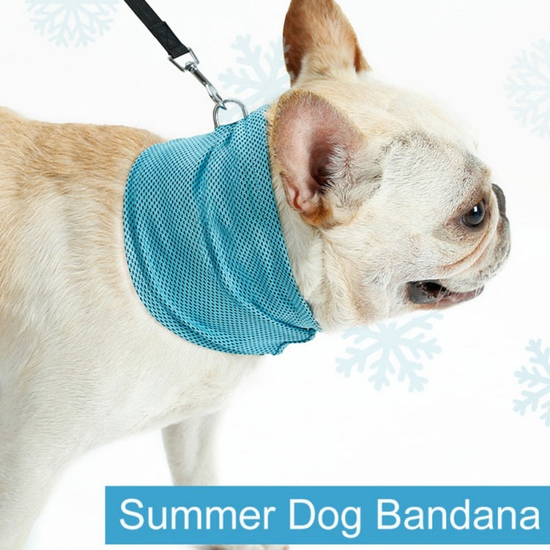 Dog Cooling Bandana Scarf for Pet Polyester - image 2