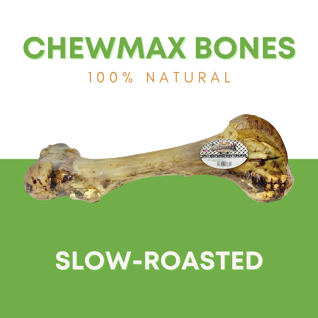 Femur Beef Bone - view 2