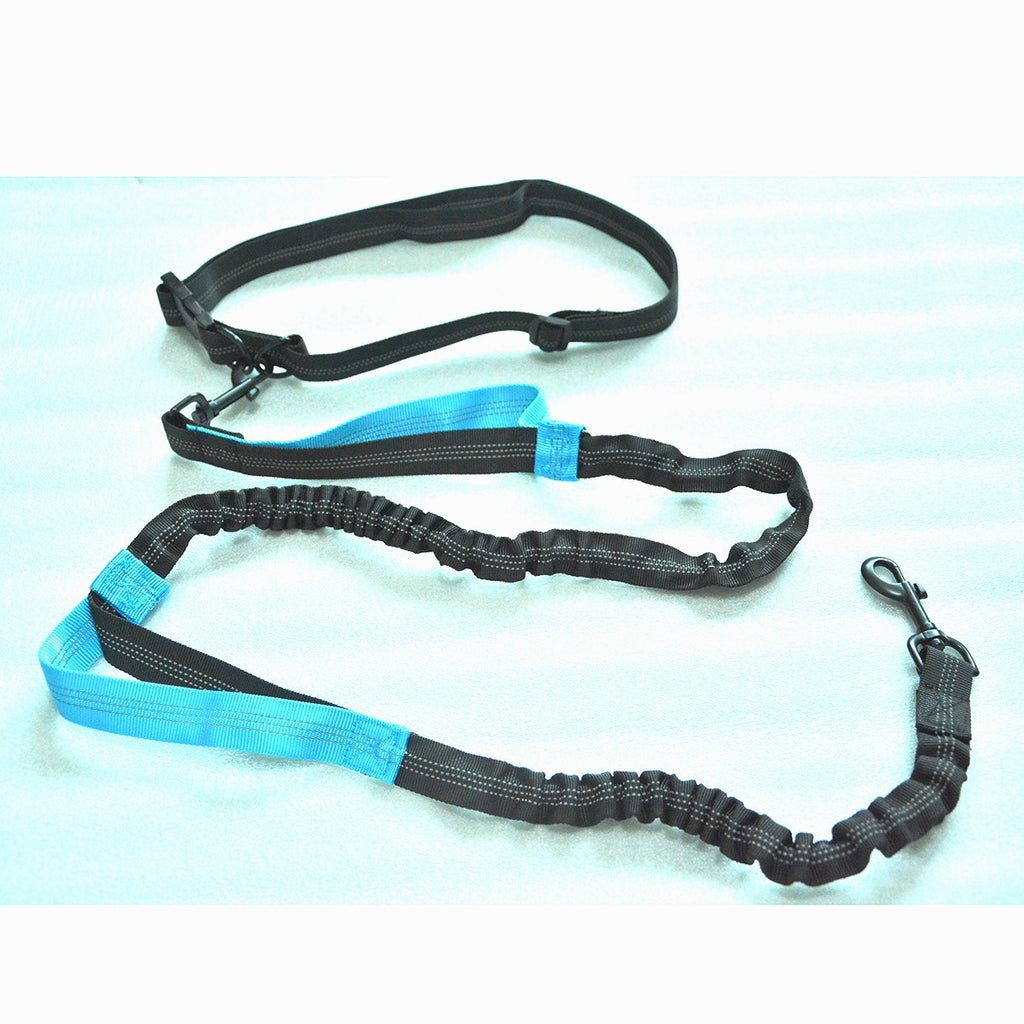 Dual Elastic Reflective Running Traction Rope Portable Retractable Dog Rope Dog Chain Traction Rope Pet Supplies - image 6