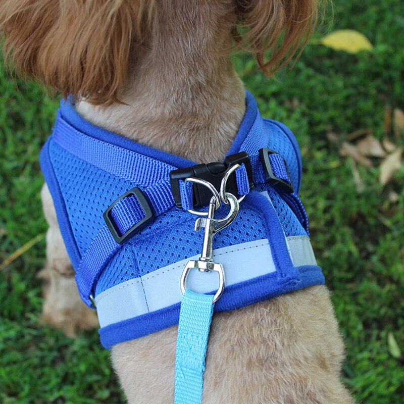 Reflective Safety Pet Dog Harness and Leash Set for Small Medium Dogs Cat Harnesses Vest Puppy Chest Strap Pet accessories - 