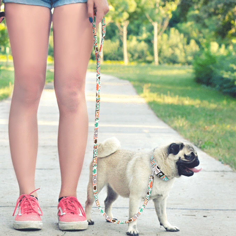 Thick Dog Leash Nylon Rope Printed Dog Cat Leash Pet Leashes Rope Puppy Leads for Outdoor Walking Training Pet Supplies - ima