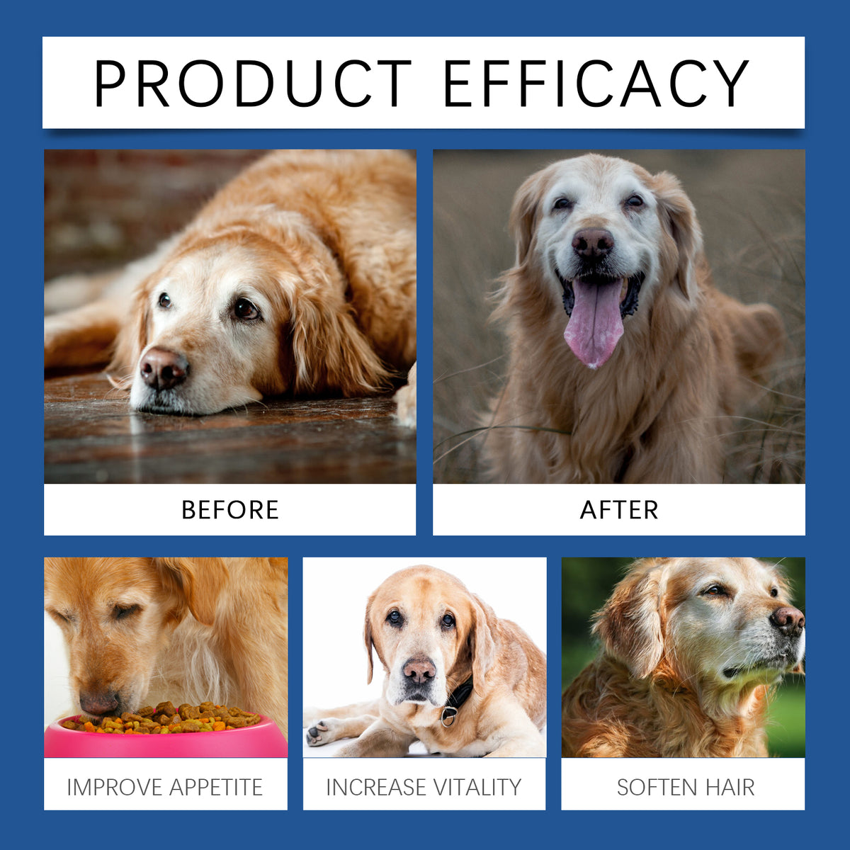 Yegbong Trace Element Tablets For Elderly Dogs, Nerve To Promote Overall Health Calcium Supplement Elderly Dog Care Calcium T