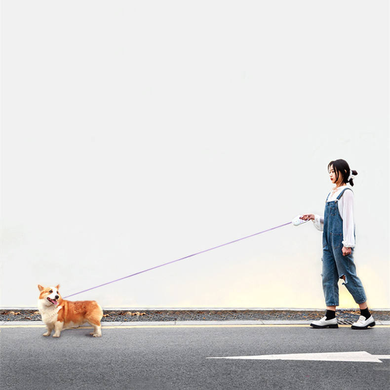 Glowing Dog Leash Pet Leash Automatic Retractable Dog Leash Dog Chain Dog Leash Dog Supplies Rope - image 5