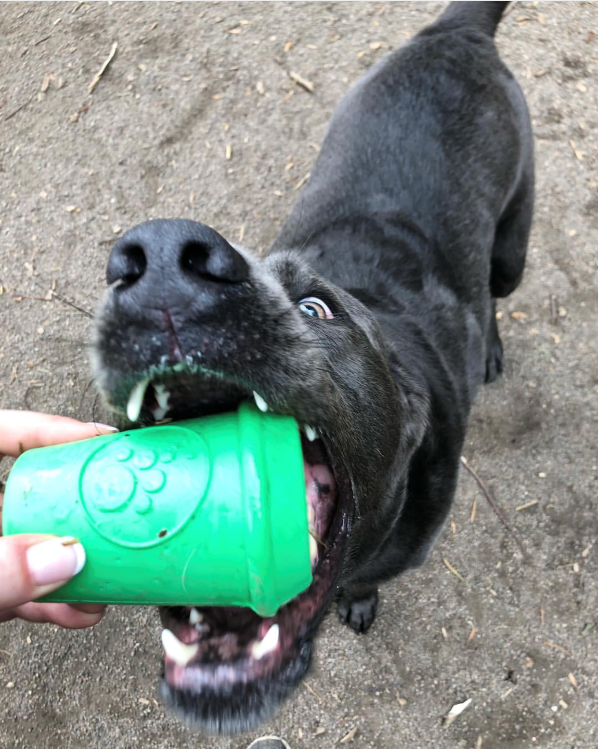 Coffee Cup Rubber Dog Chew Toy for Power Chewers - Treat Dispenser - view 7