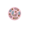 Dog Puzzle Toys Slow Feeder Interactive Increase Puppy IQ Food Dispenser Slowly Eating NonSlip Bowl Pet Cat Dogs Training Gam
