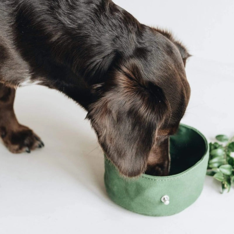 Foldable Waxed Food Tray Portable Pet Tableware Outdoor Pet Travel Canvas Dog Bowl - image 3