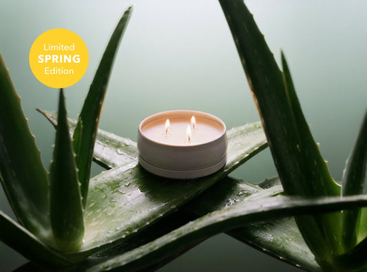 Cucumber Aloe 3-Wick Candle - view 2