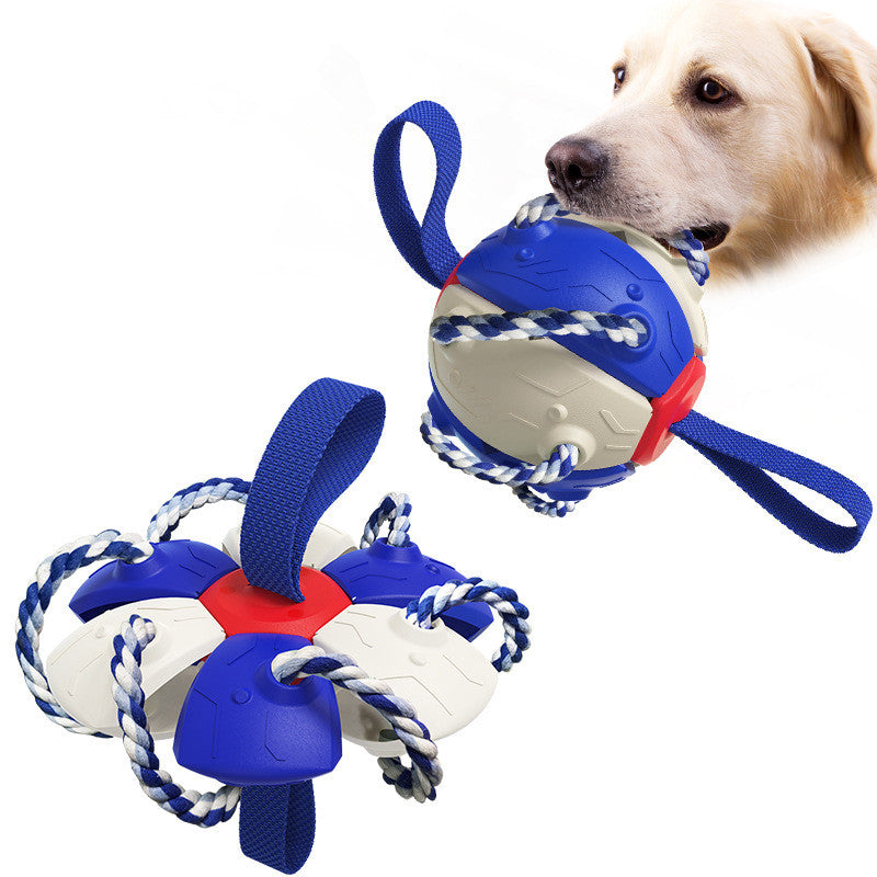 Pet Supplies Throwing Frisbee Outdoor Training Interactive Frisbee Football Dog Toy - image 2