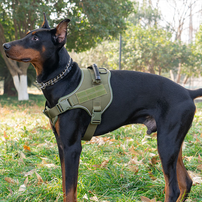 Tactical dog vest: for large dogs (German Shepherd, Golden Retriever) – training, military-style accessories. - image 5
