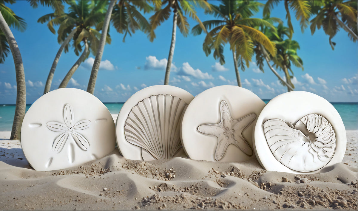 Assorted Shells Drink Coasters — McCarter Coasters