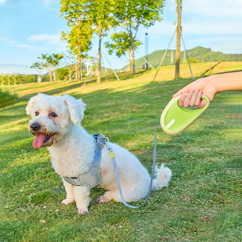 3m Pet Leash For Small Dogs Cat Automatic Retractable Nylon Durable Walking Lead Puppy Outdoor Travel Pet Products 1pcs - ima